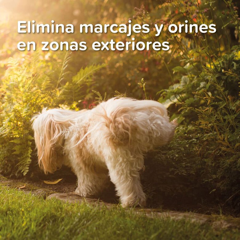 Beaphar Spray anti-urinação para cães e gatos, , large image number null